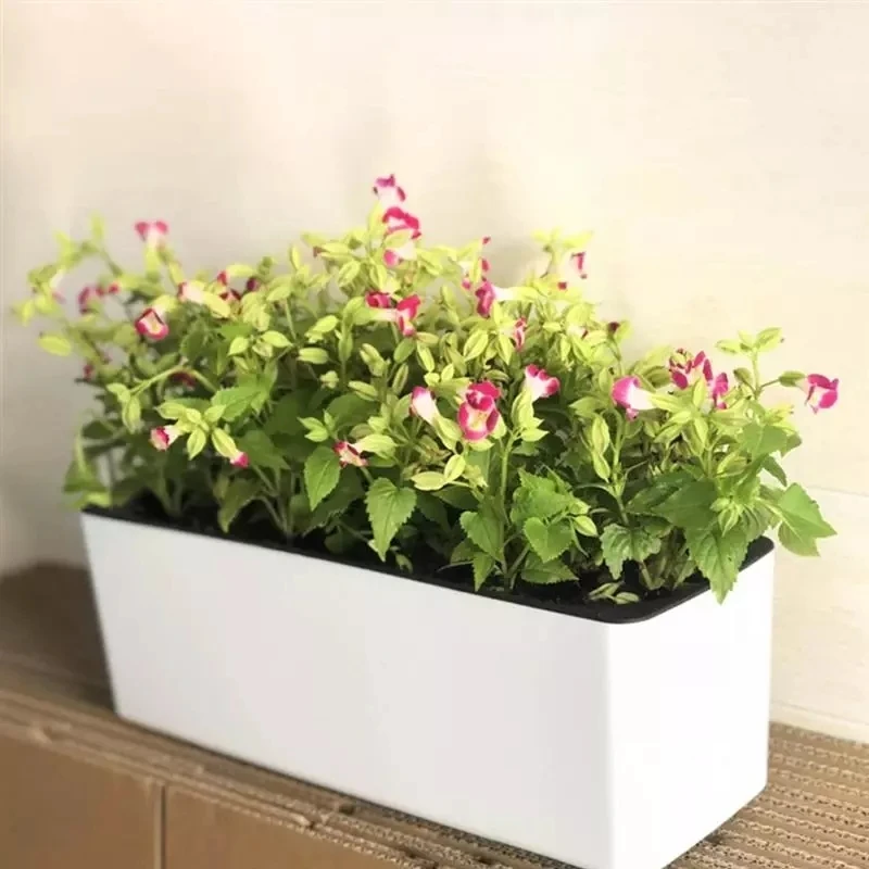 Automatic Plant Waterer - Rechthoekige Luie Bloempot Ingemaakte Hydrocultuur Plastic